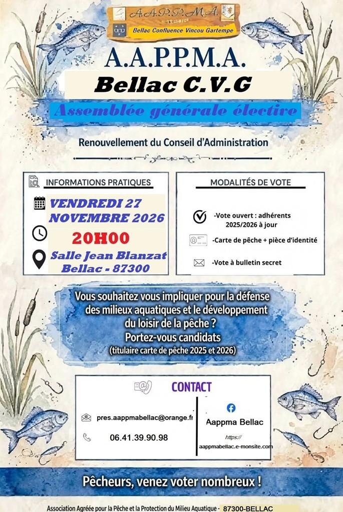 Affiche election elective rev 3 image